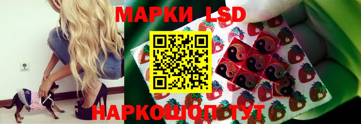 LSD-25 экстази  Вход с VPN  Ставрополь  Лсд 25 экстази ecstasy 
