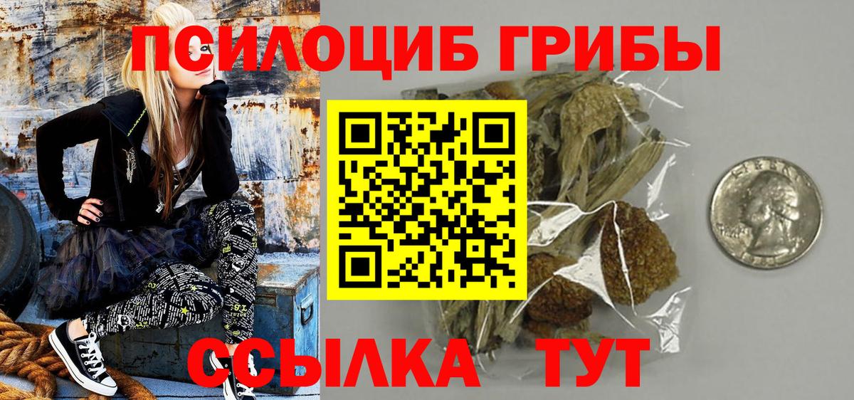 Ставрополь  где продают наркотики  Галлюциногенные грибы Cubensis  Вход с VPN  Псилоцибиновые грибы мицелий 