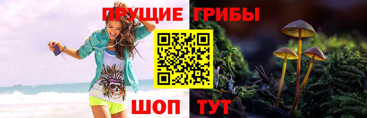 Галлюциногенные грибы мицелий Ставрополь